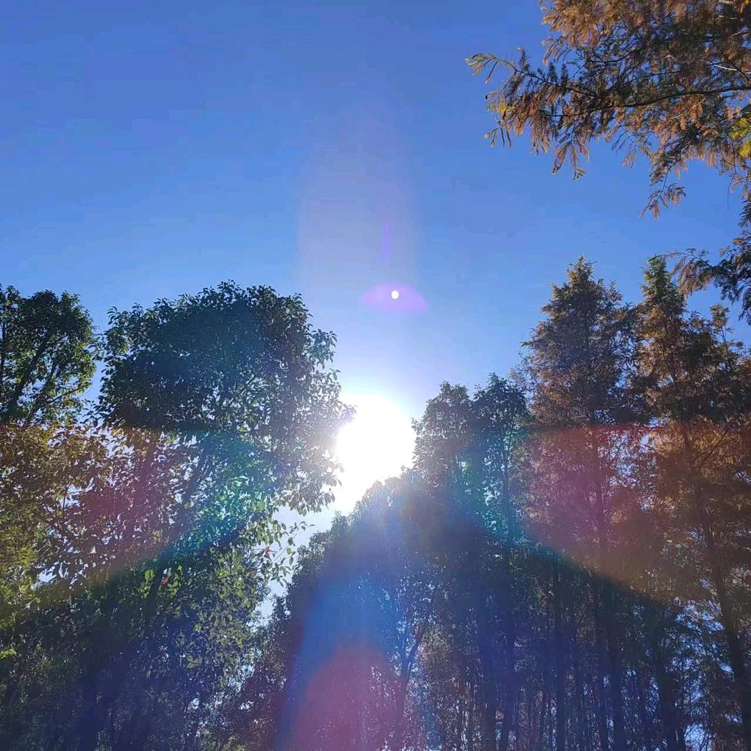 曾经的你。归属了回忆ゝ