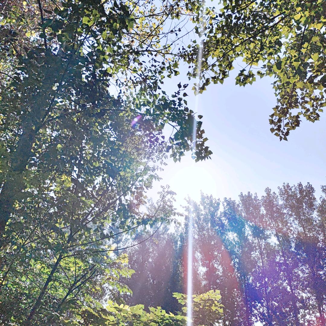 沿着小溪走像森林⚈₃⚈