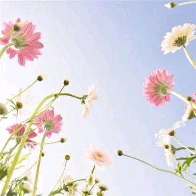 潮客家具范勋琴