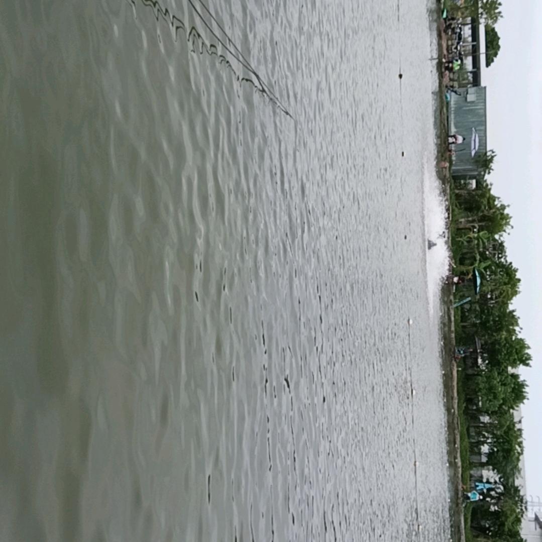 濠四休闲开心钓鱼场