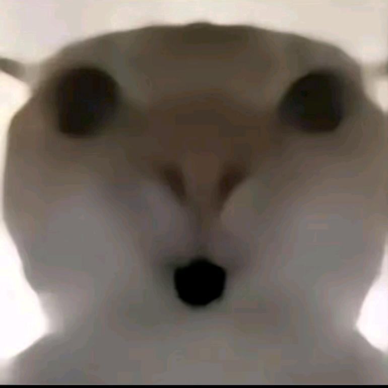 淳淳爱吃鸡