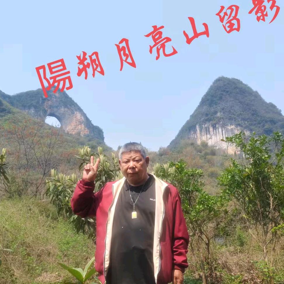 青山