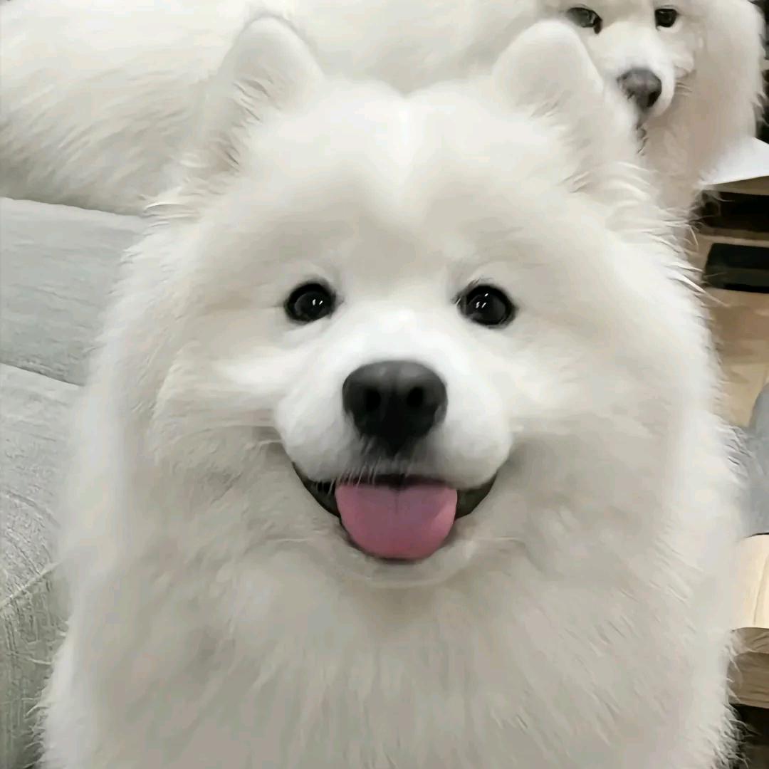 丸○