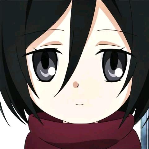 Feixia🕊️🇵🇸