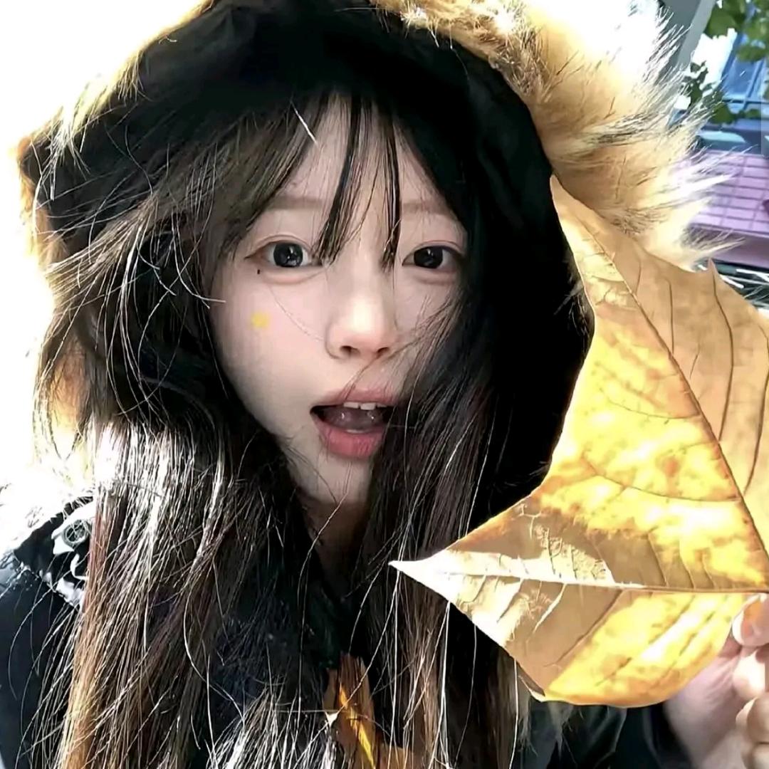 天灵灵-魏灵灵