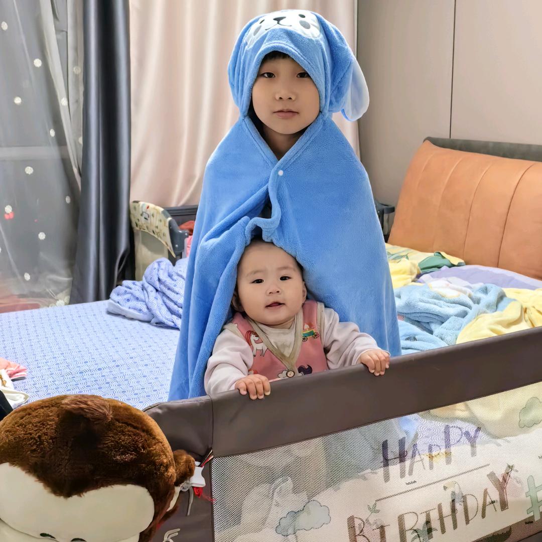 苦叶蝶