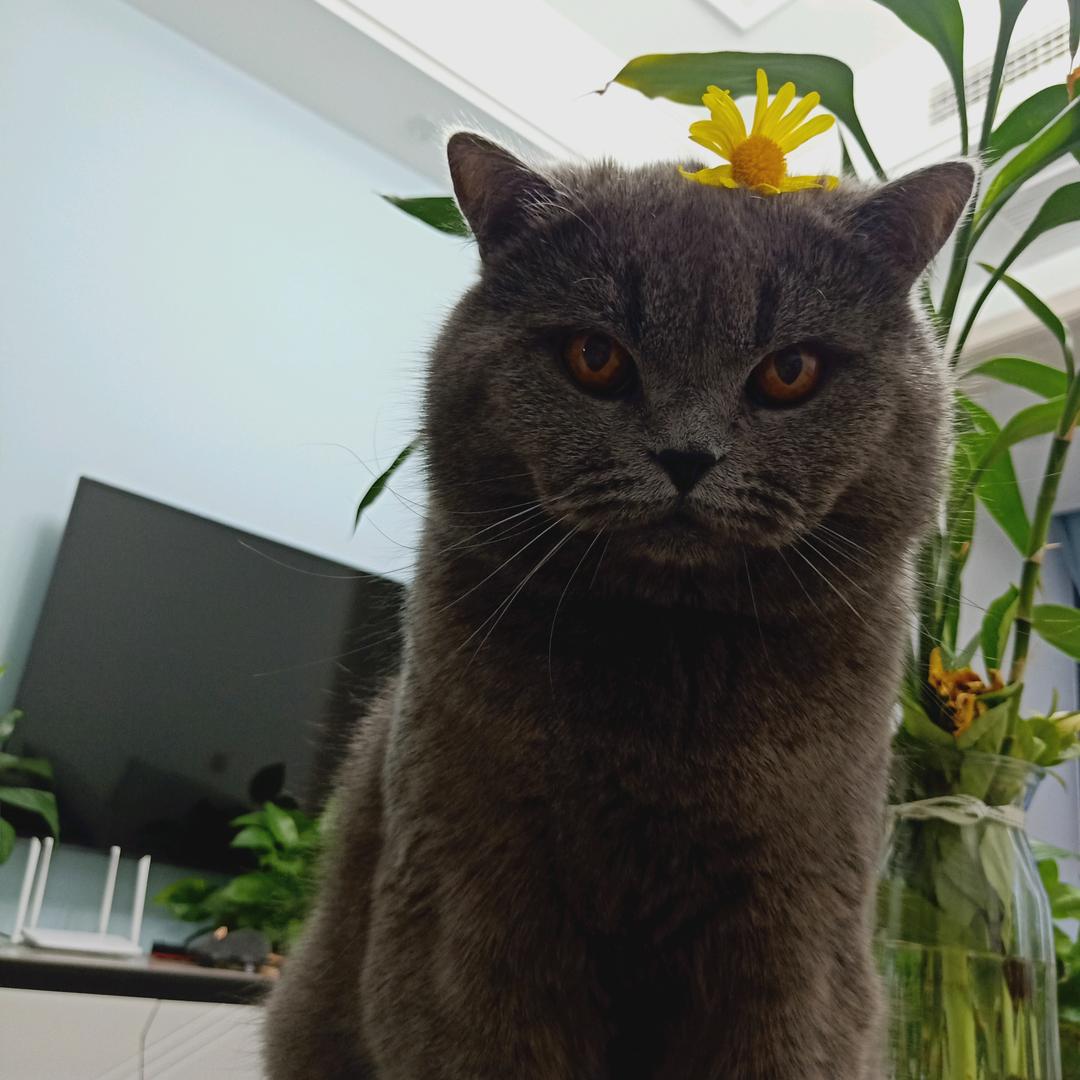 赵公明第一信徒