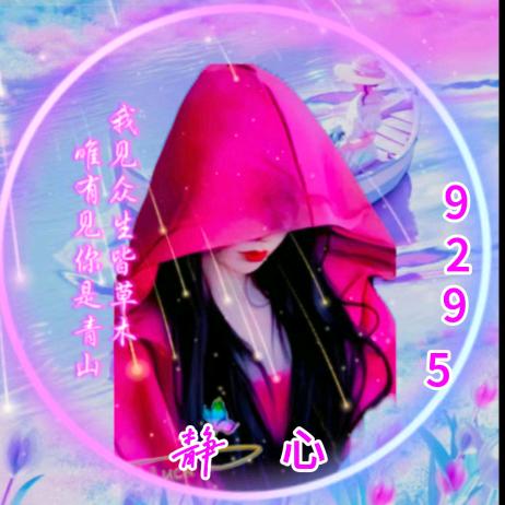 静心9295