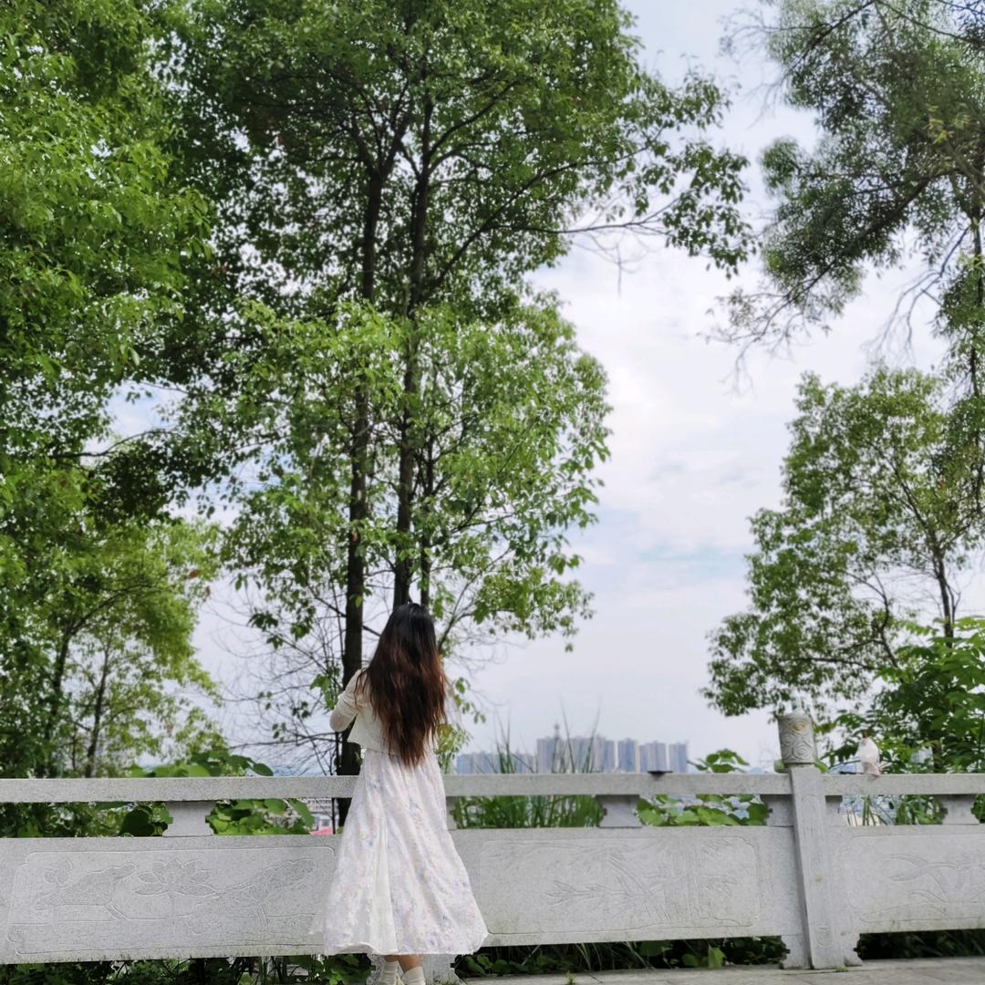 🧚‍♀️🧚‍♀️🧚‍♀️
