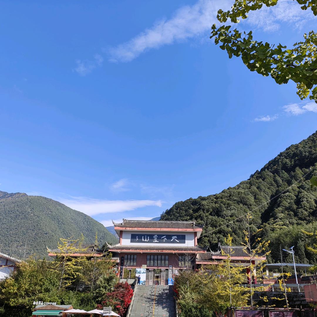 大飞