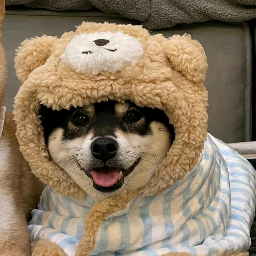 七碗胡辣汤