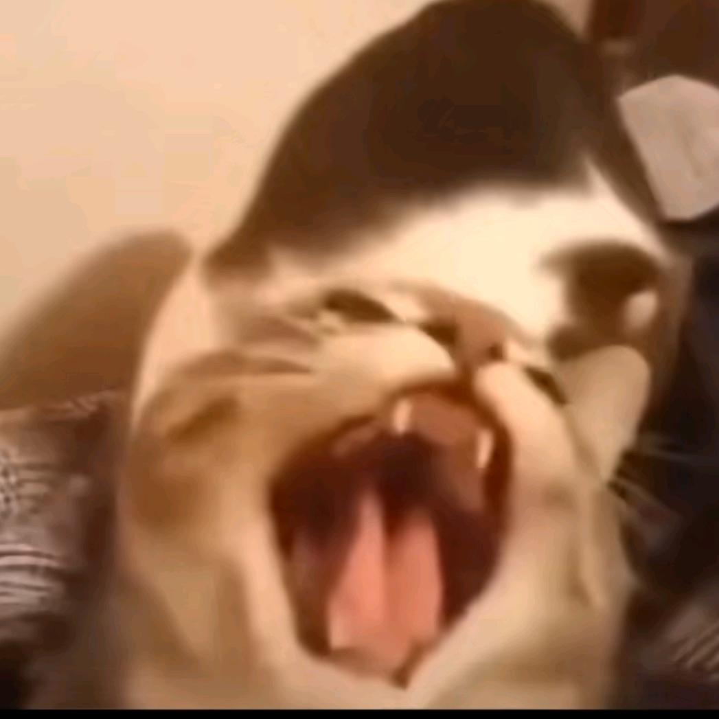 雪松