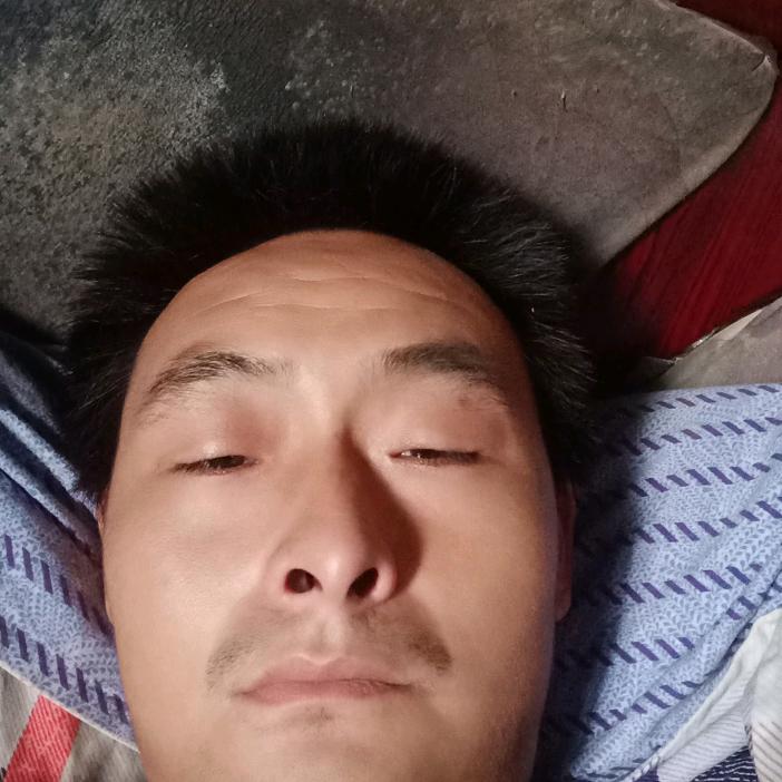 戴佳