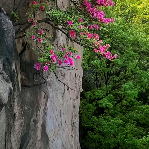 孟然回首见如初，浪迹天涯无觅处。