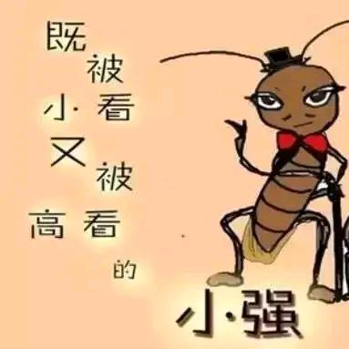 偷油婆