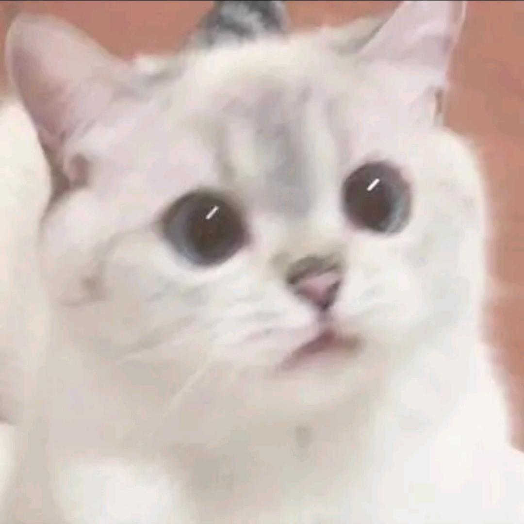 随影
