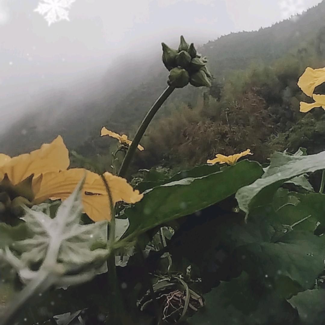 乾Wei天