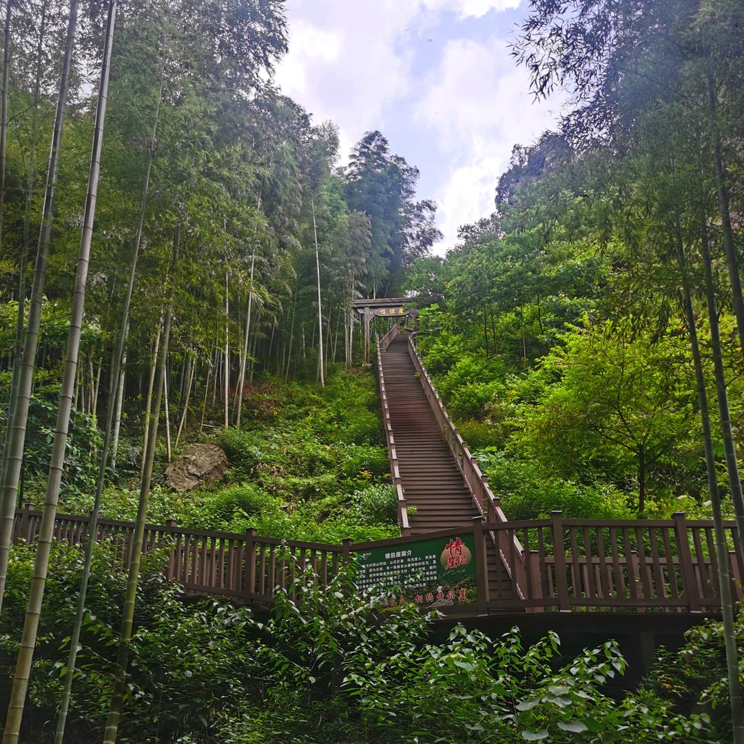 陽陽麻麻爱生活