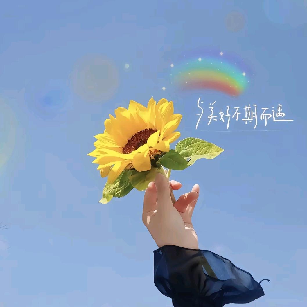 学会放下