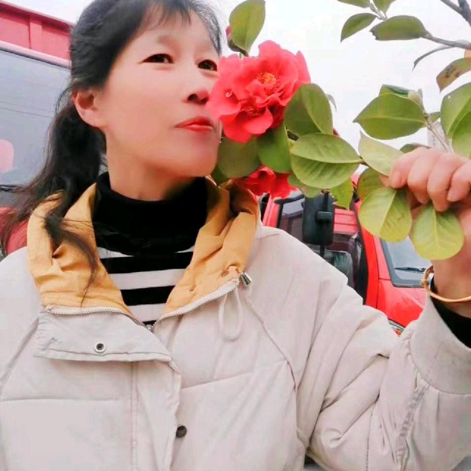 清欢不度