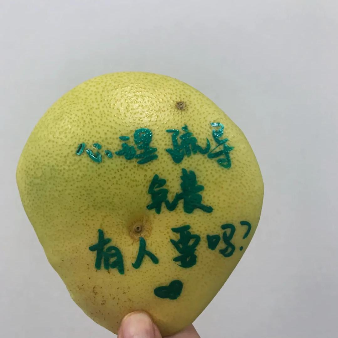 心理急救指南（科心大）