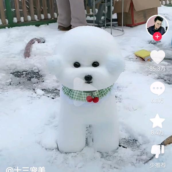 家有萌宠