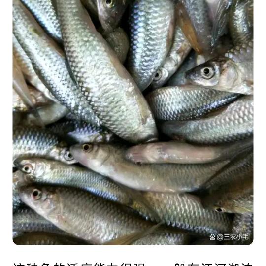 露儿户外