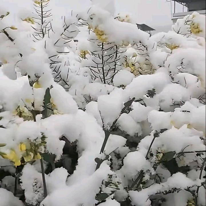 天意