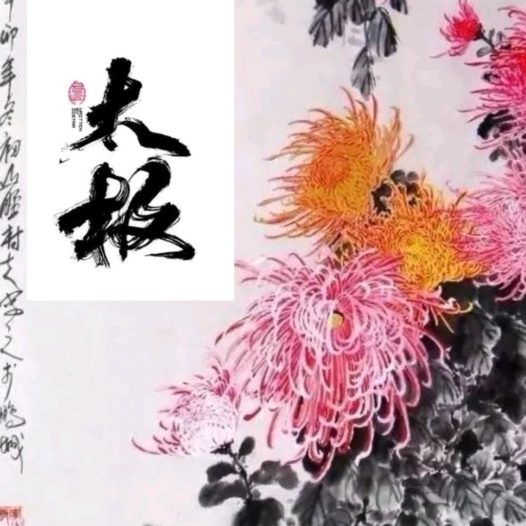 菊舞太极