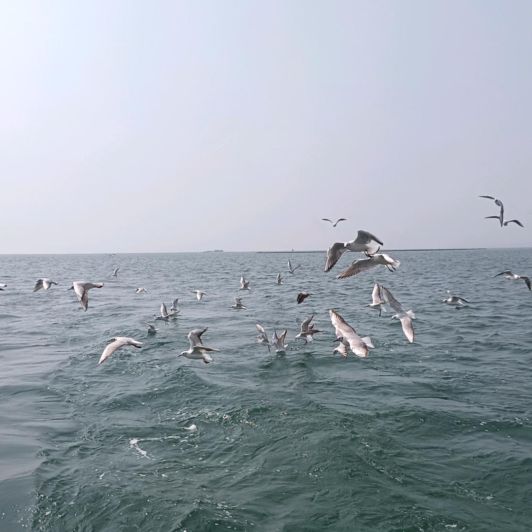 寂寞不敌秋风雨