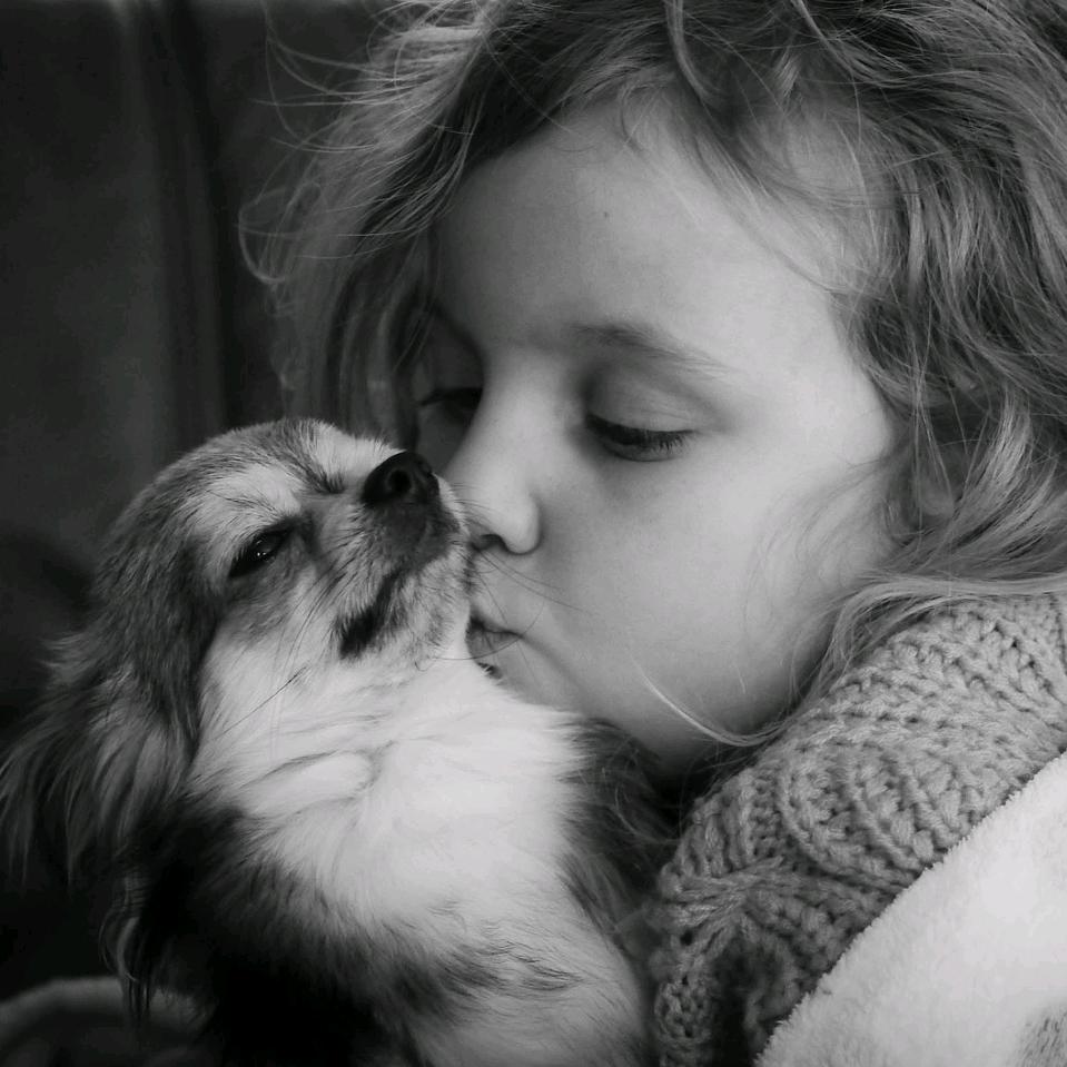 ᝰꫛ许ಇ᭄先生