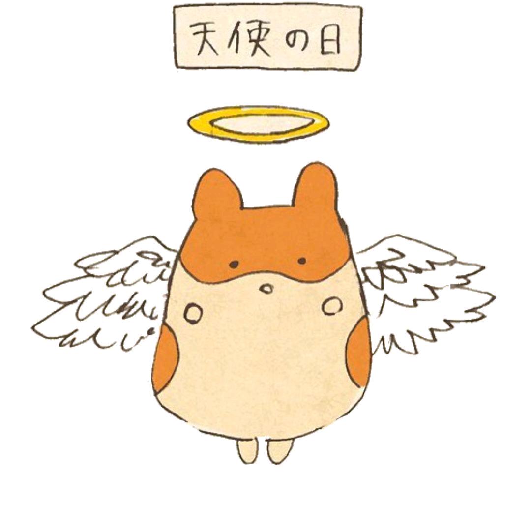 塞西莉亚花头像