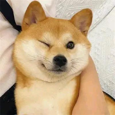 意难平