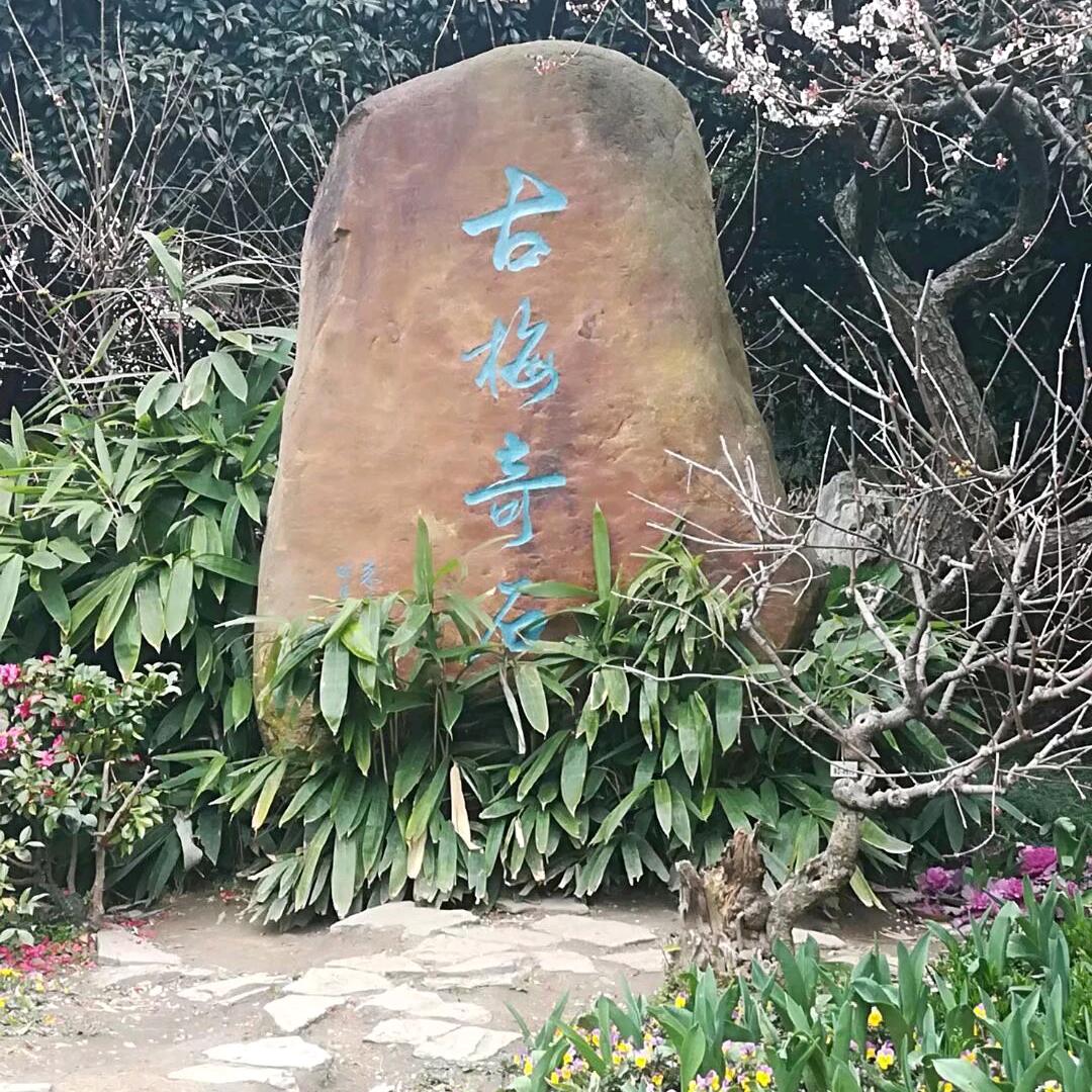 用户2341428199234