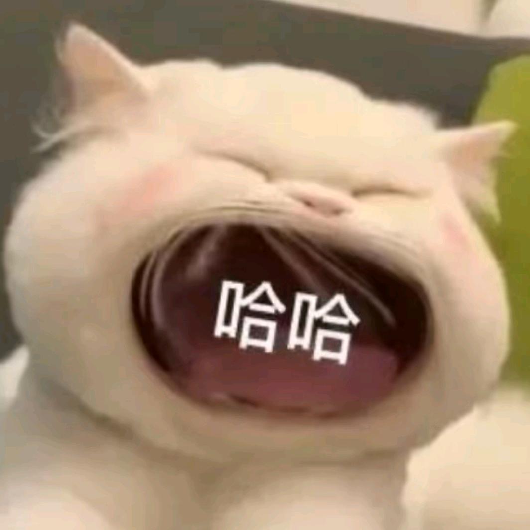 半颗西瓜头像