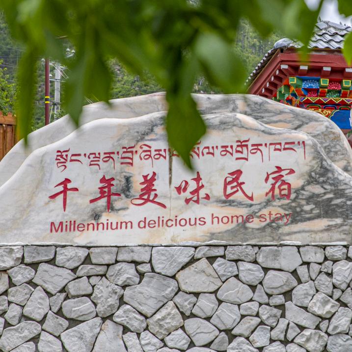 林芝千年美味民宿