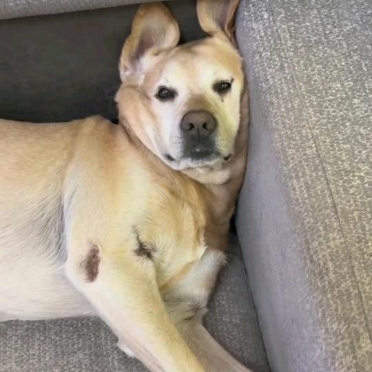 啵啵间运营【茴关看款】