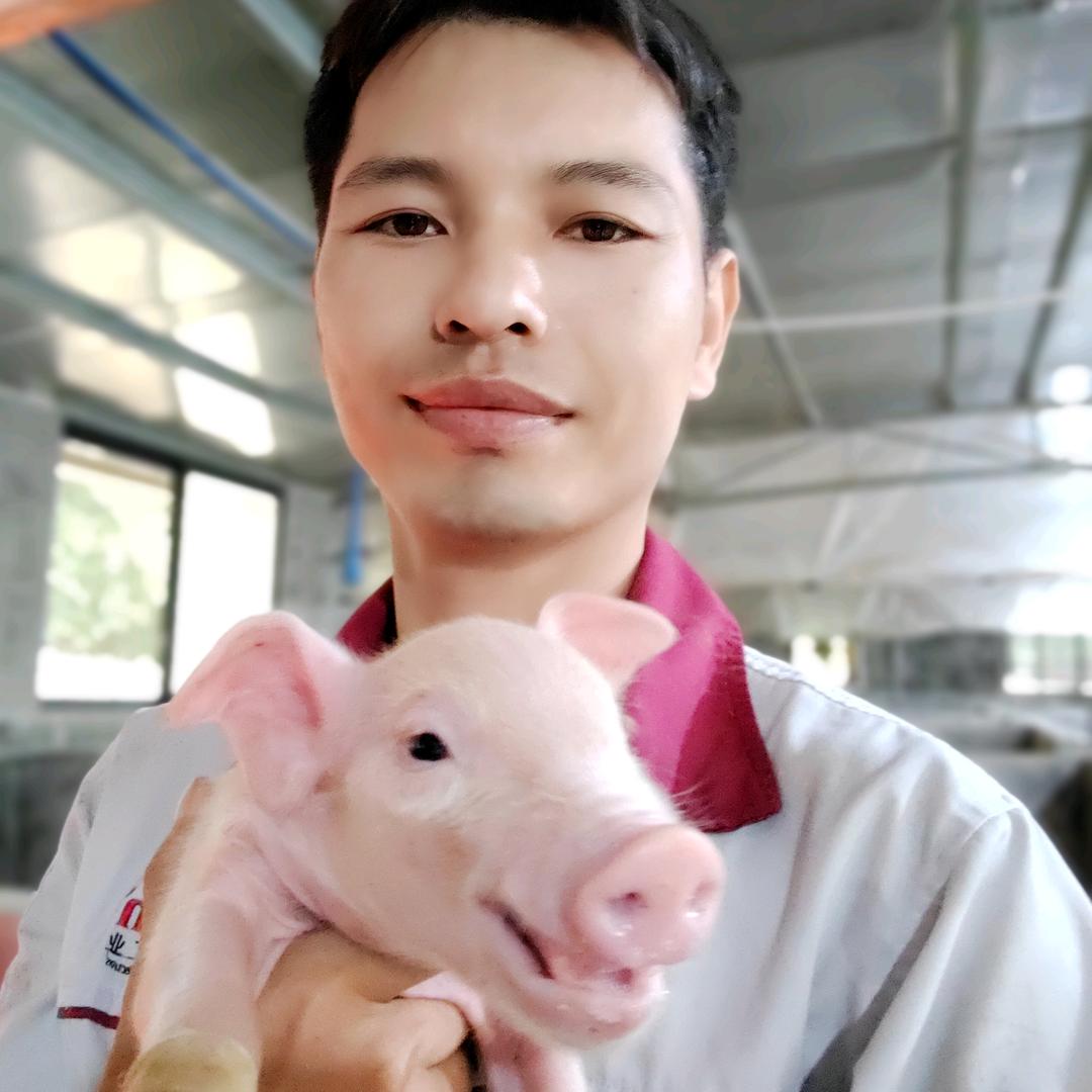 兽医学养猪