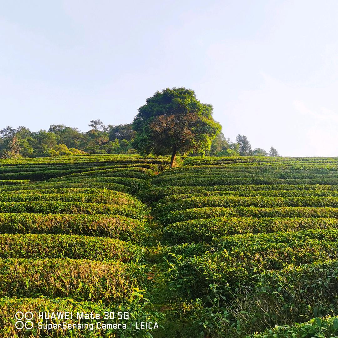 风雲天下🧜‍♀️🐬