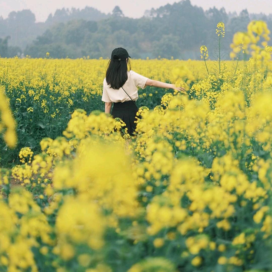 不发脾气只发财