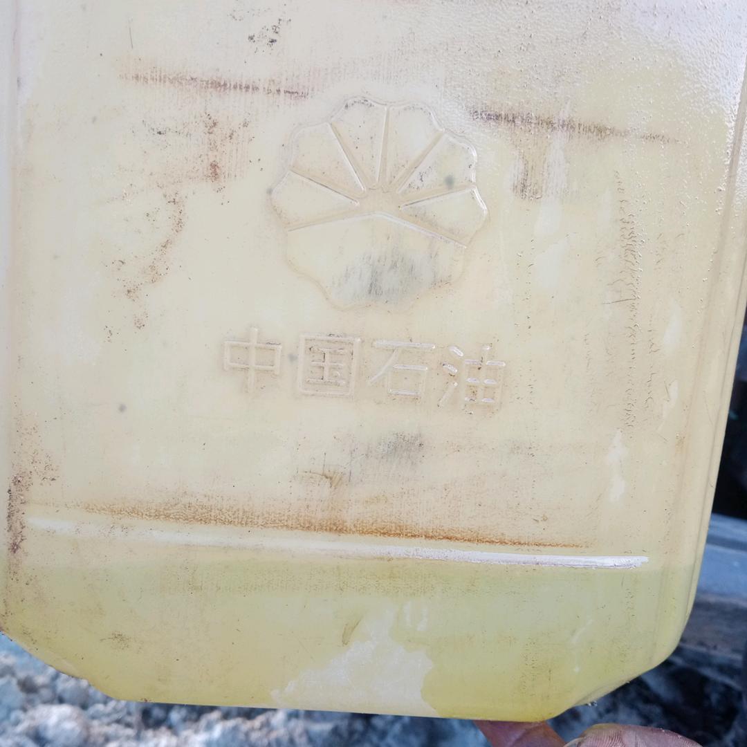 乡城丁真