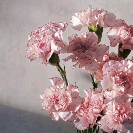 花花！～