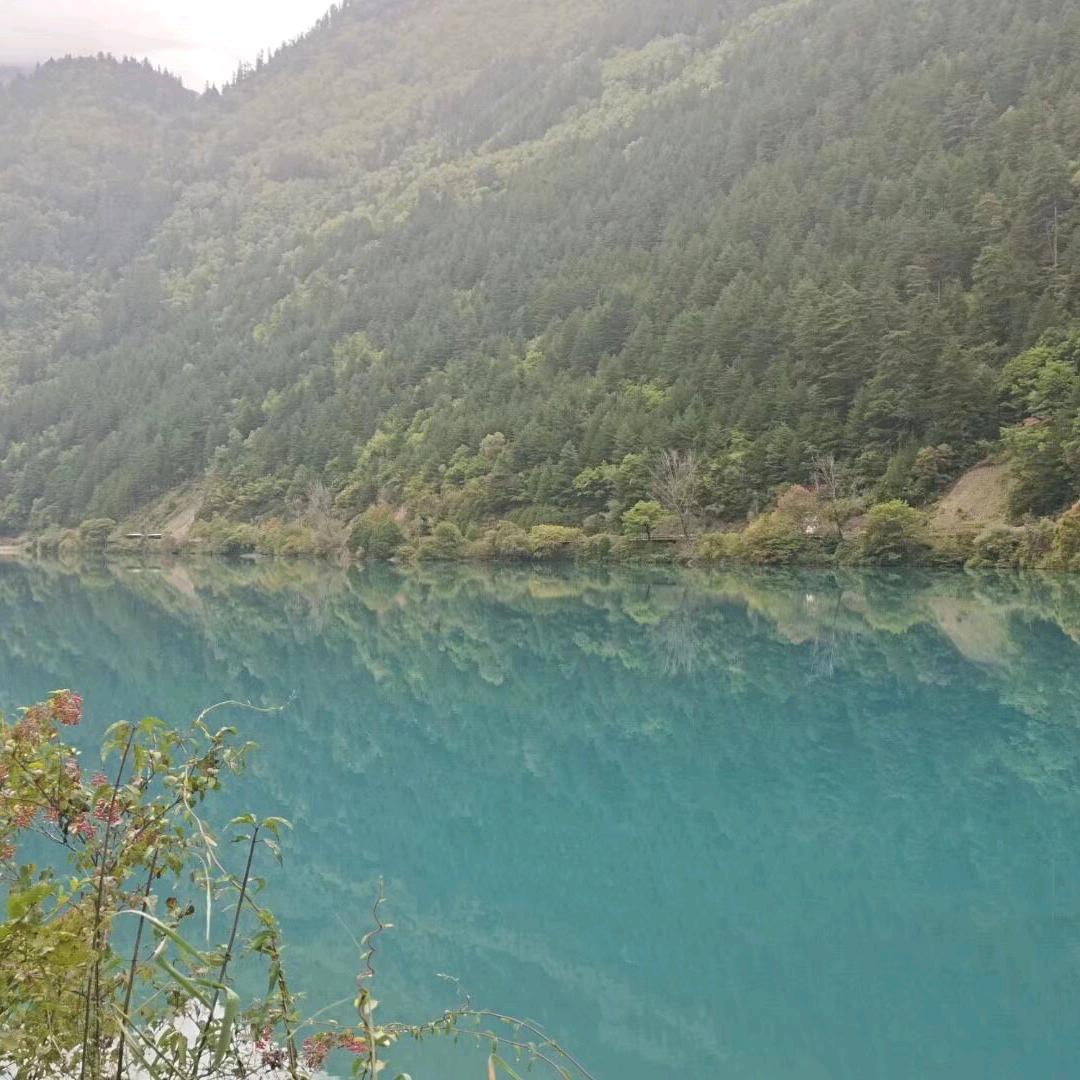 沐溪