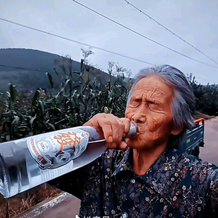 小猪佩奇（王者变现）