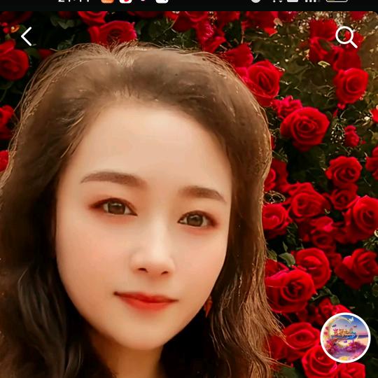 吉祥如意🐇🍎