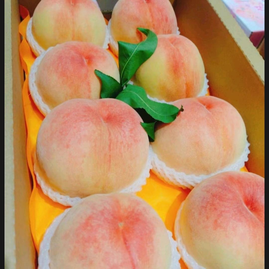﹌ō星源港货гёη♂