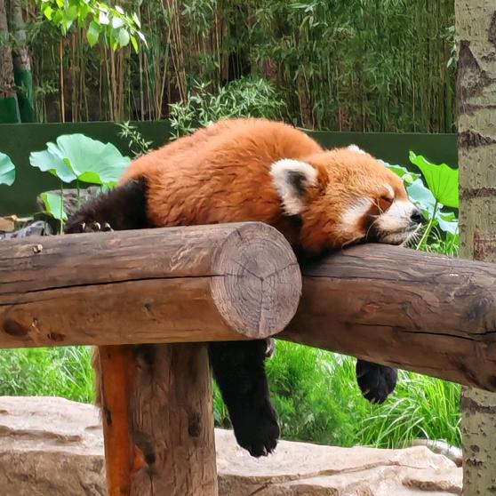 童话  知识分享