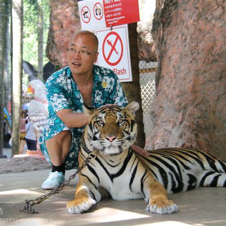 内蒙光头哥8284267832463