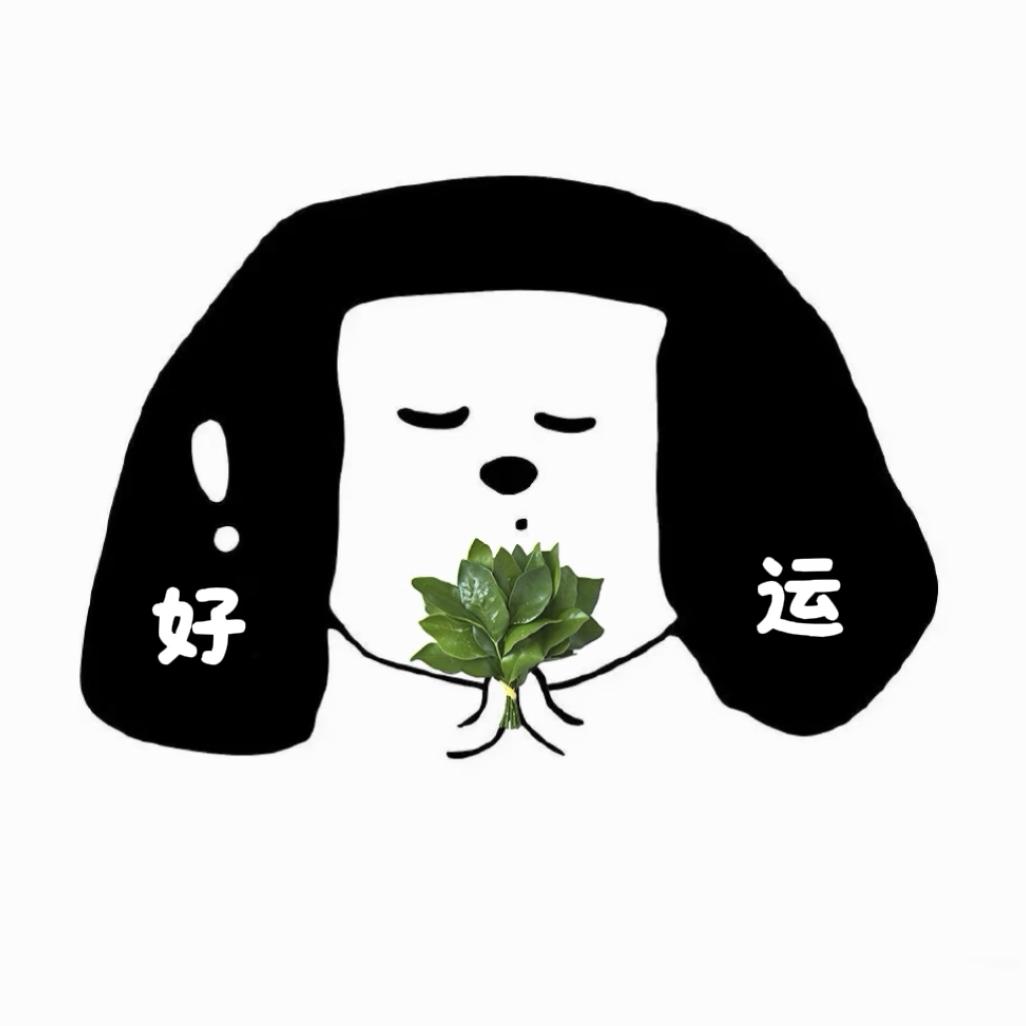 哈哈哈哈哈哈哈