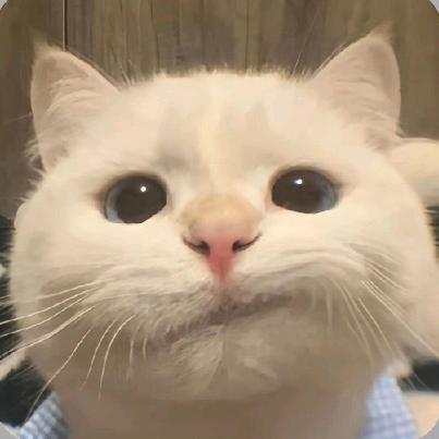 俊哥电商